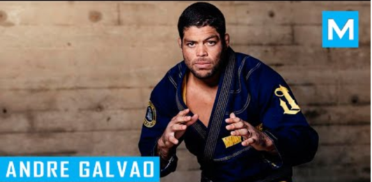 Andre Galvao bjjspot
