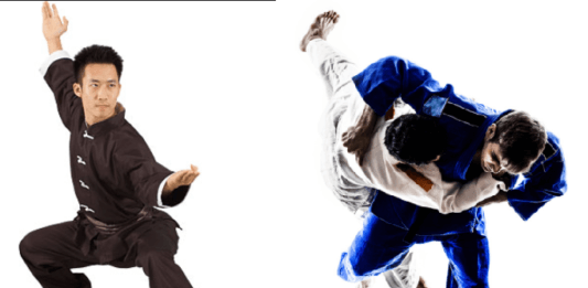 bjj vs kung fu