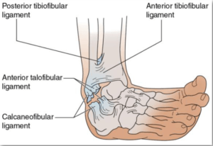 Toe Hold