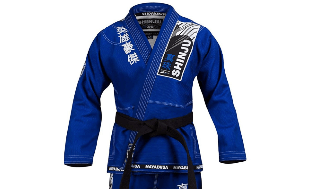 РљРёРјРѕРЅРѕ Hayabusa GSP