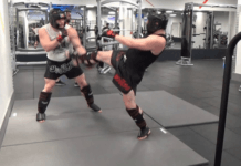 Best MMA Cheap Gear 2020 – Reviews and Guide Best MMA Cheap Gear 2019 - Reviews and Guide