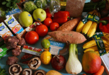 Vegan Diet For BJJ and MMA Vegan diet For BJJ and MMA