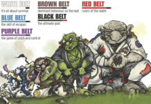 Complete Guide to Brazilian Jiu-Jitsu Belt System bjj belt System