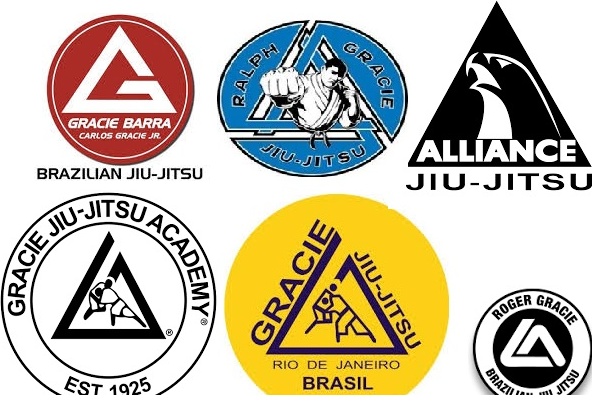 Jiu Jitsu логотип. Джиу джитсу значок. Эмблемы BJJ.