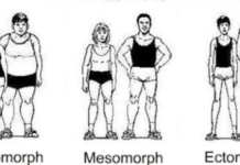 Body Types & Jiu-Jitsu – Advantages and Difficulties Body Types & Jiu-Jitsu - Advantages and Difficulties