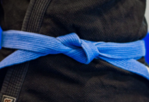 Blue Belt Survival Guide and Tips Blue belt guide