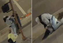 Guy With Uses “Sleeper Hold” to Defend a Woman in a Street Fight