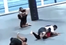 Adult Heavyweight Purple belt Slams Juvenile blue belt on his Head!!!