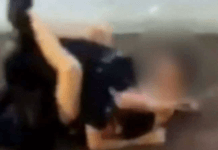 Police Officer Gets Guillotine Choked by a 15-Year Old