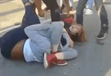 Bully tries to fight a girl who has BJJ training and gets schooled